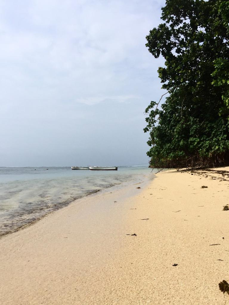 La Digue, Anse La Réunion