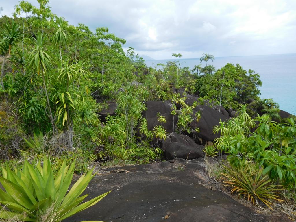 Mahé, Baie Terney Marine National Park