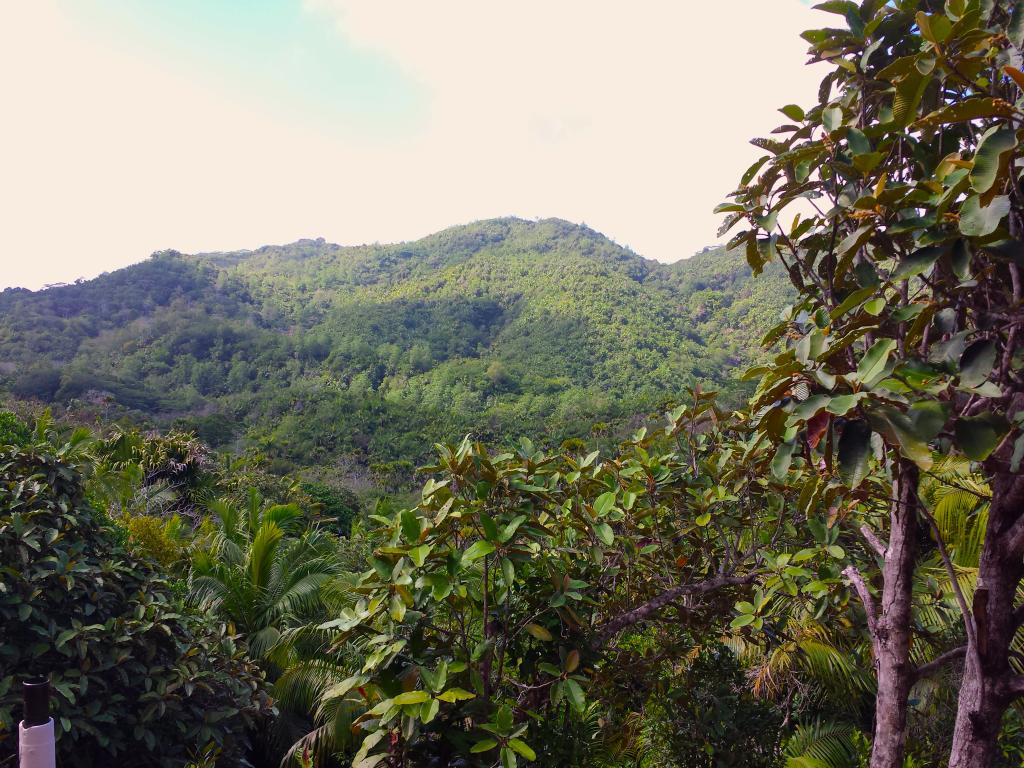 Vallee de Mai nature reserve