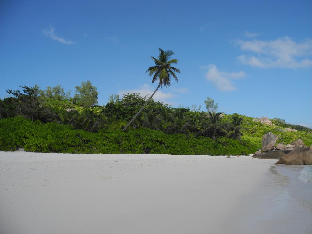 Anse Cocos