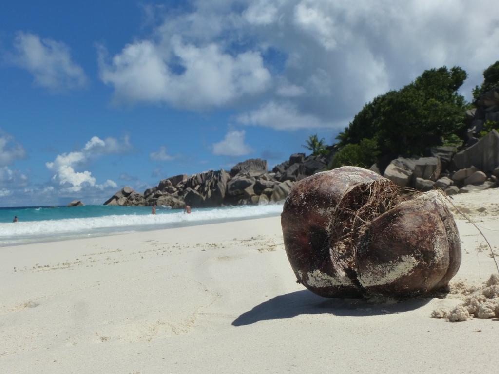 Petite Anse/La Digue