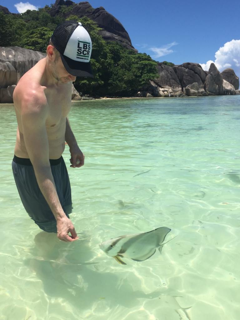 Fische füttern am Anse Source d’Argent/La  Digue