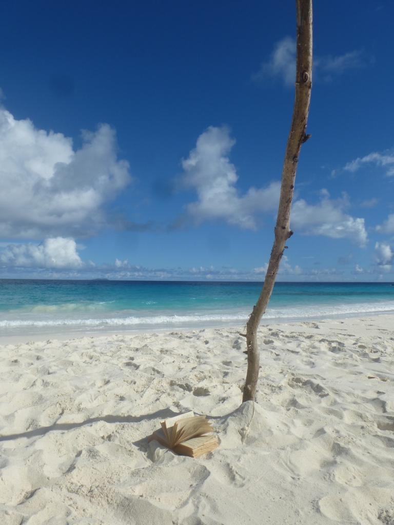 Petite Anse/La Digue