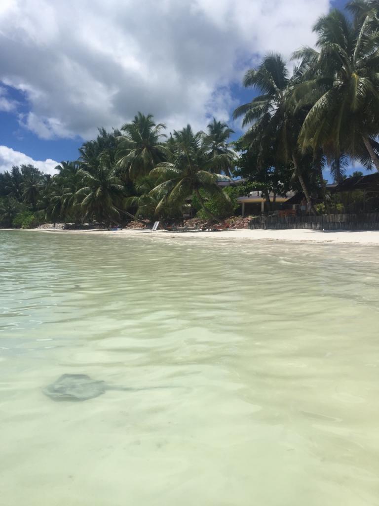 Rochen am Cote d’Or Beach Praslin