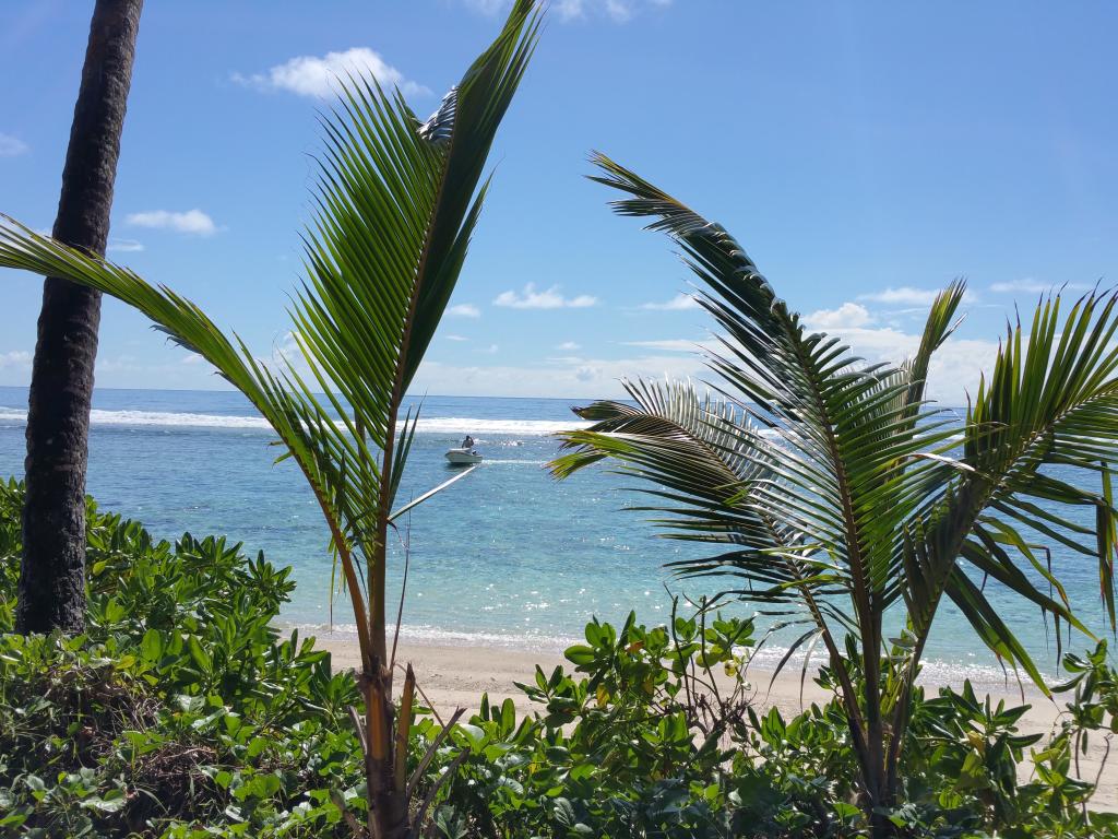 Anse Forbans, Mahé