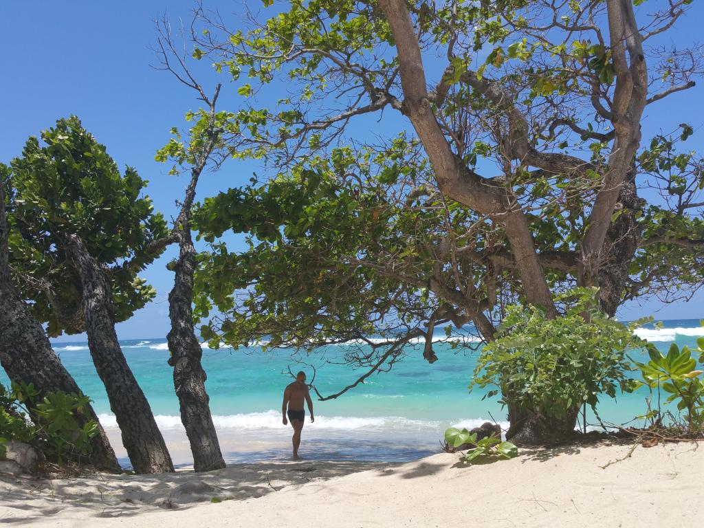 Anse Forbans, Mahé