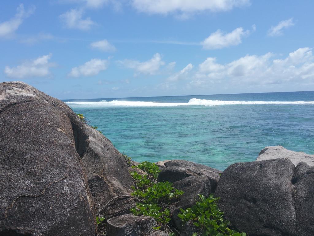 Anse Forbans, Mahé