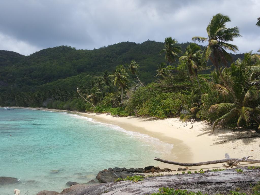 Anse Forbans, Mahé