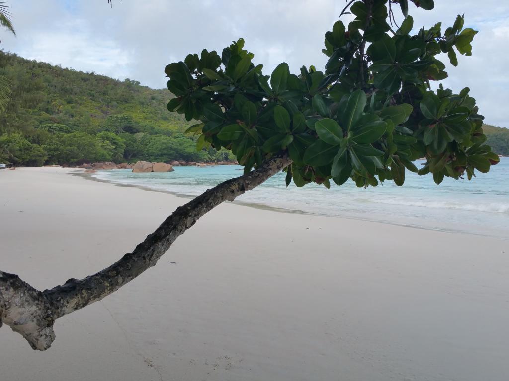 Anse Lazio, Praslin