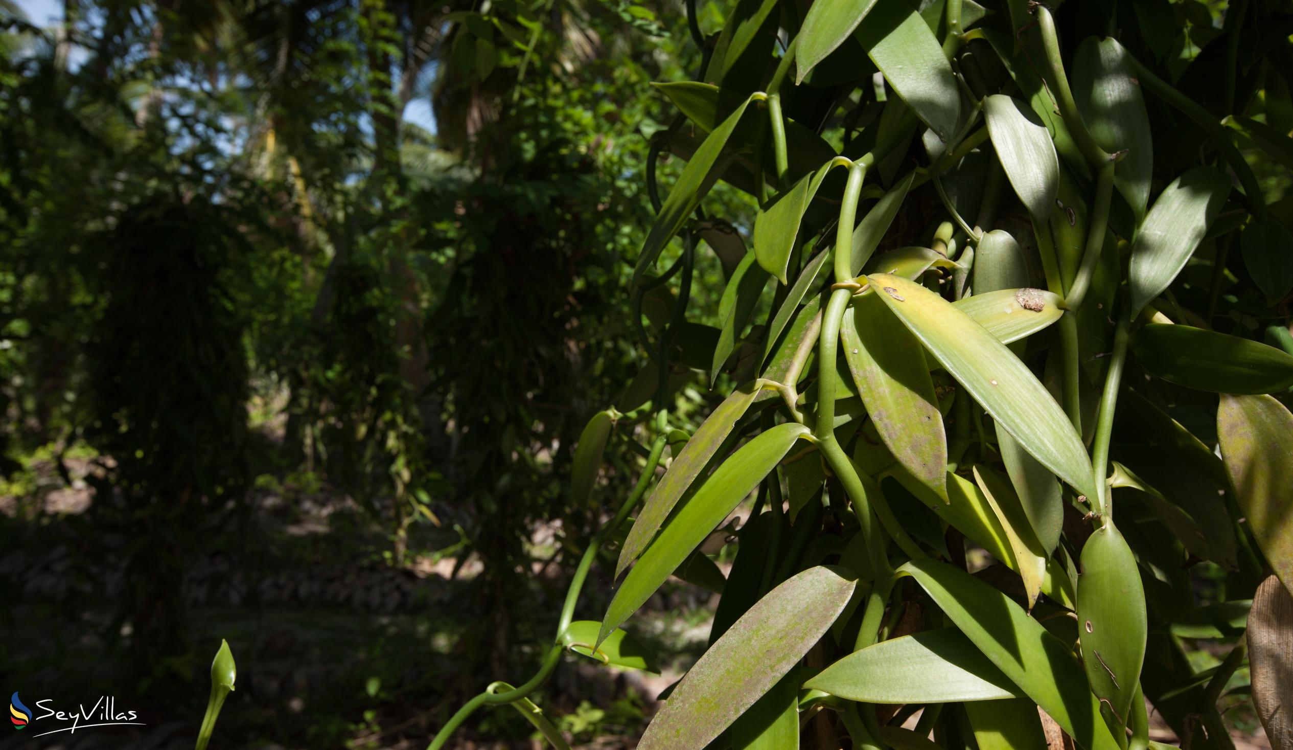 Foto 43: La Digue Island Lodge (L'Union Beach Villas) - Lage - La Digue (Seychellen)