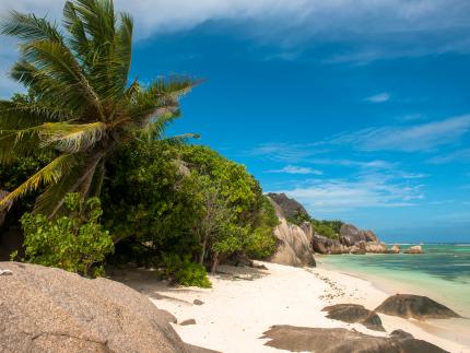 Guesthouse Chalet Bamboo Vert  auf La Digue Seychellen 