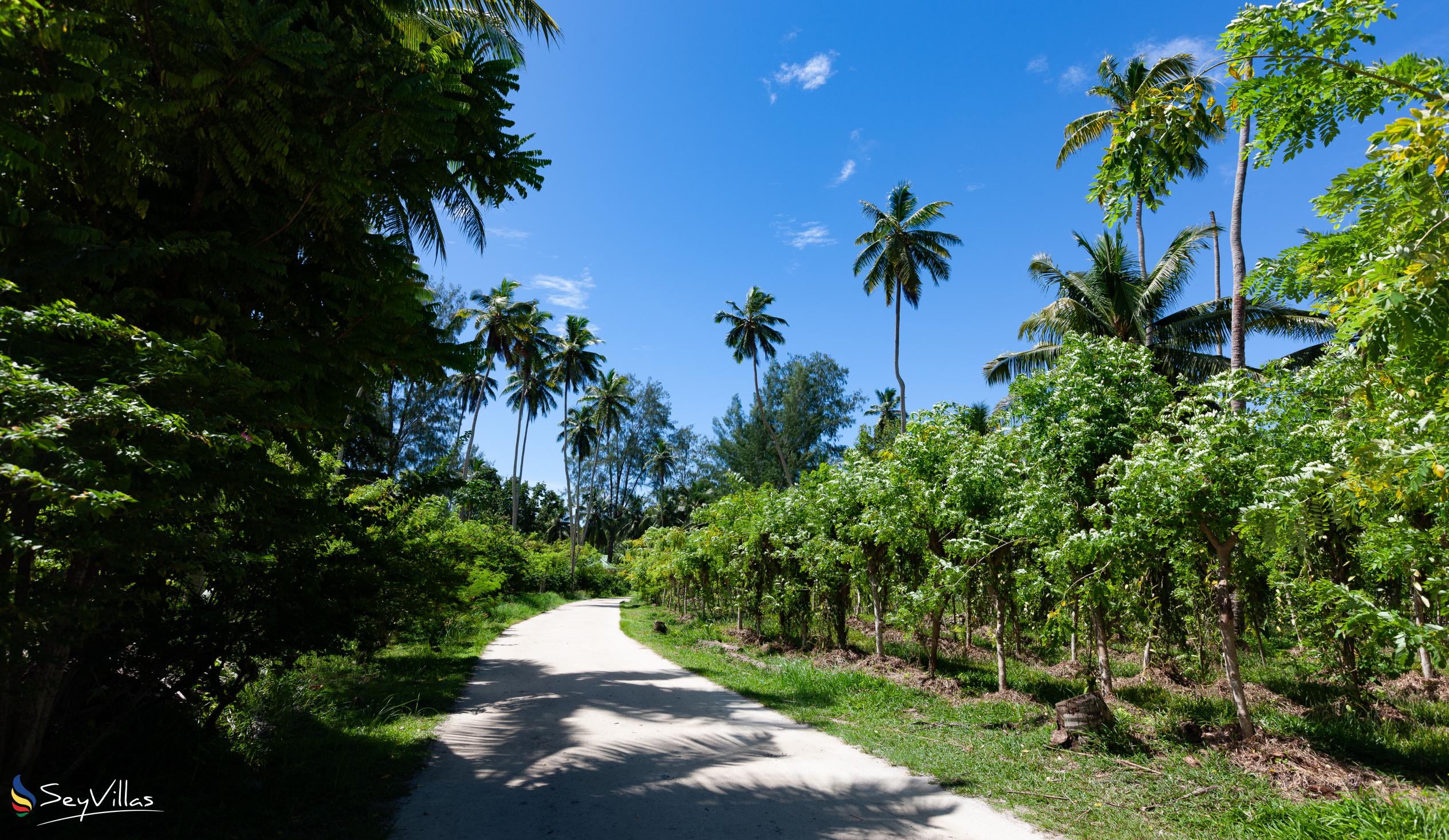 Photo 109: Villa Source D'Argent - Location - La Digue (Seychelles)