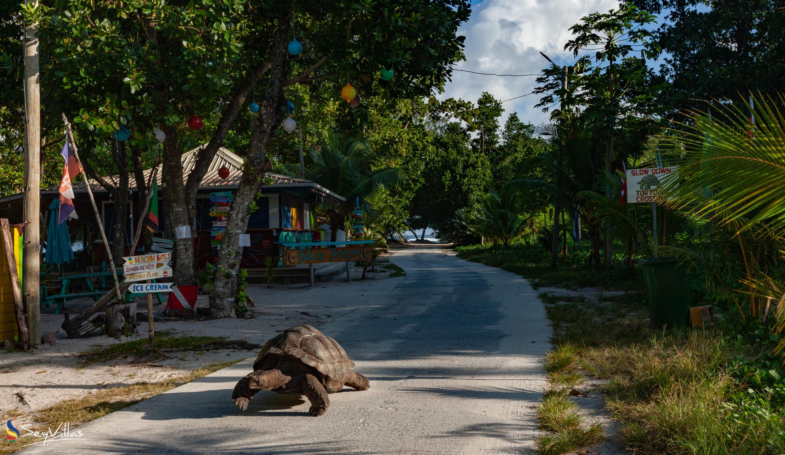 Photo 111: O'Soleil Chalets - Location - La Digue (Seychelles)