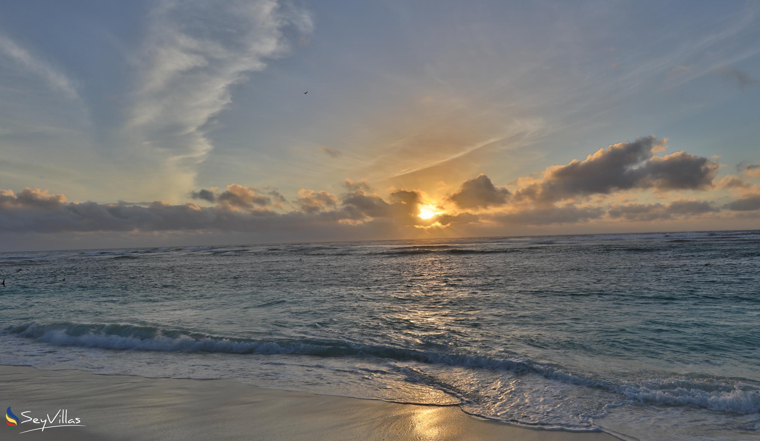 Foto 91: Bird Island Seychelles - Location - Bird Island (Seychelles)