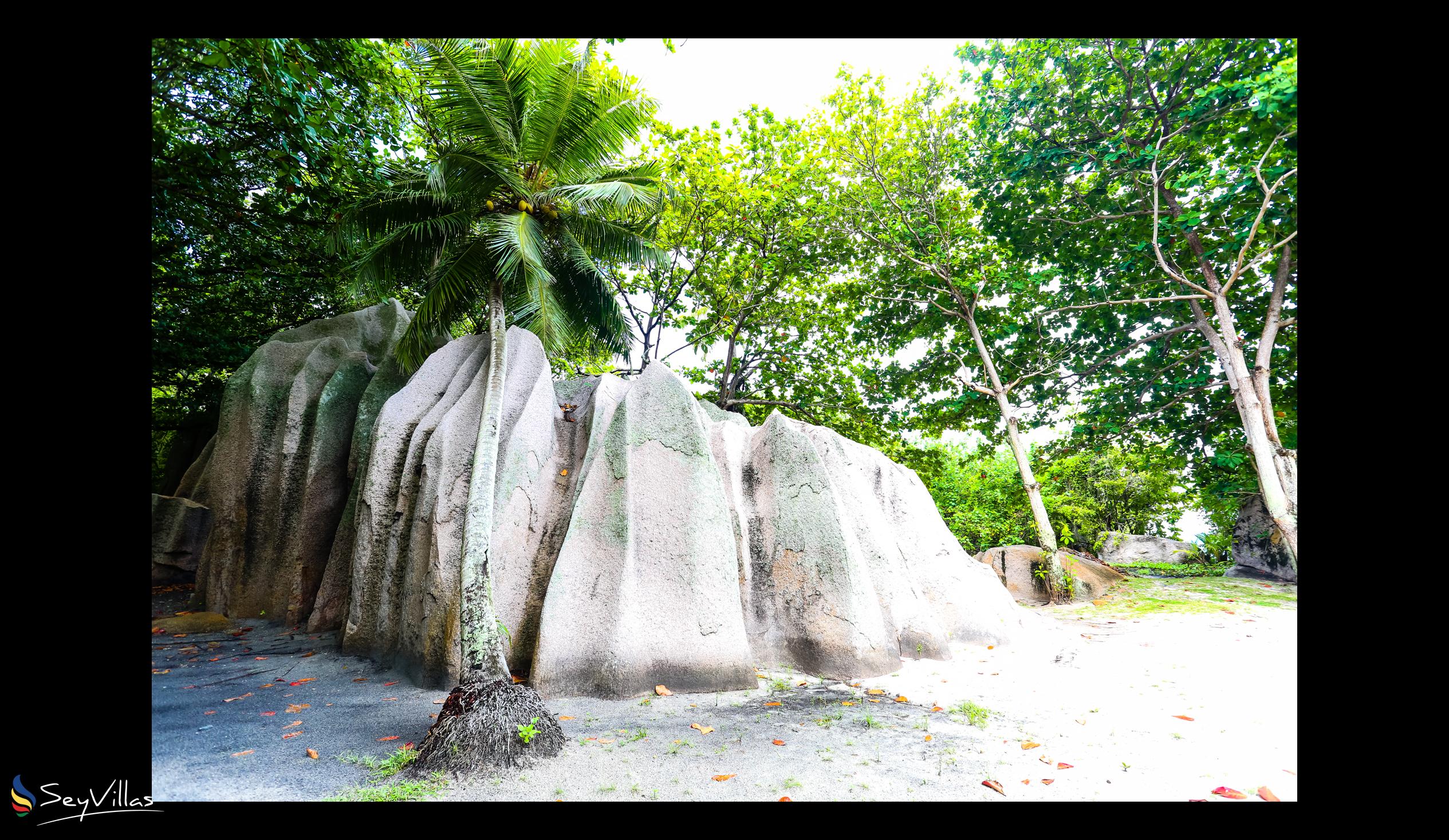 Foto 52: Dream Yacht Silhouette Dream - Posizione - Seychelles (Seychelles)