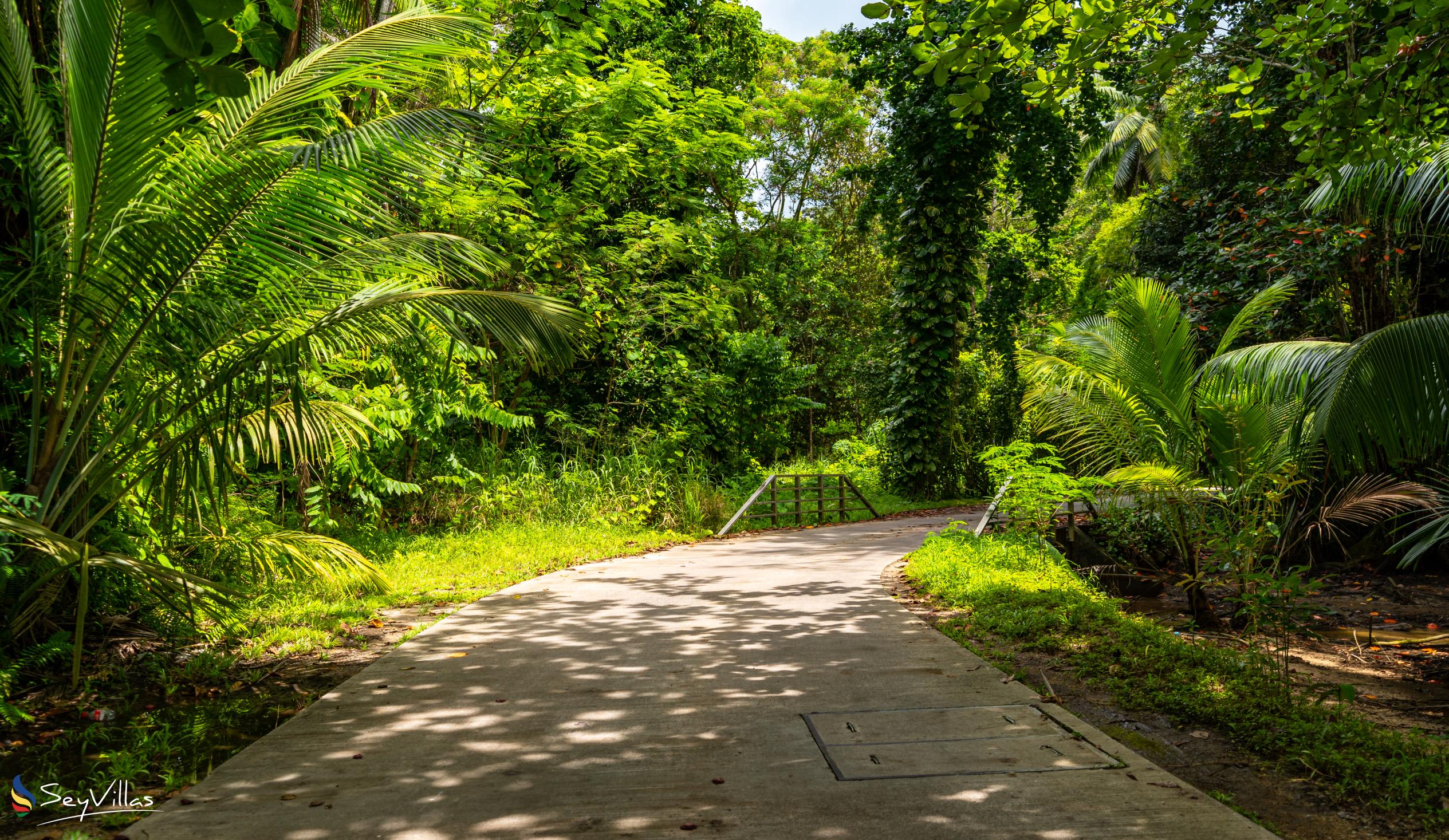 Foto 83: Pineapple Beach Villas - Posizione - Mahé (Seychelles)