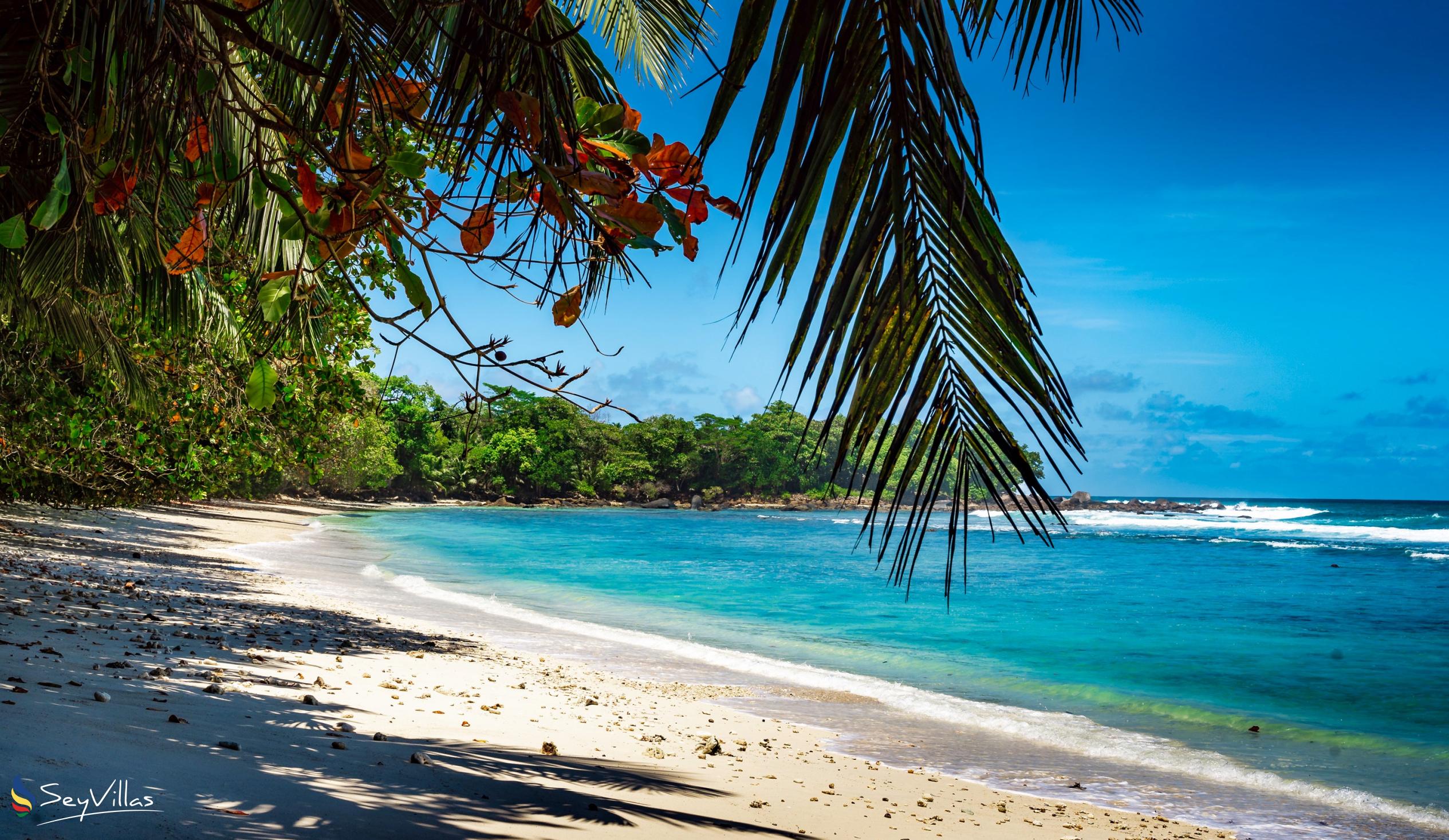 Photo 6: Jastam House - Outdoor area - Mahé (Seychelles)