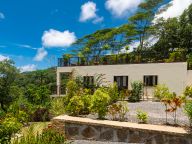 Bougainvillas Seychelles