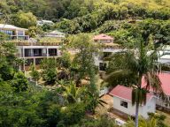 Bougainvillas Seychelles