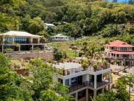 Bougainvillas Seychelles