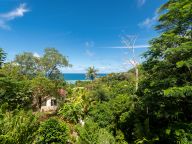 Bougainvillas Seychelles