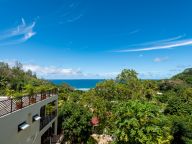 Bougainvillas Seychelles