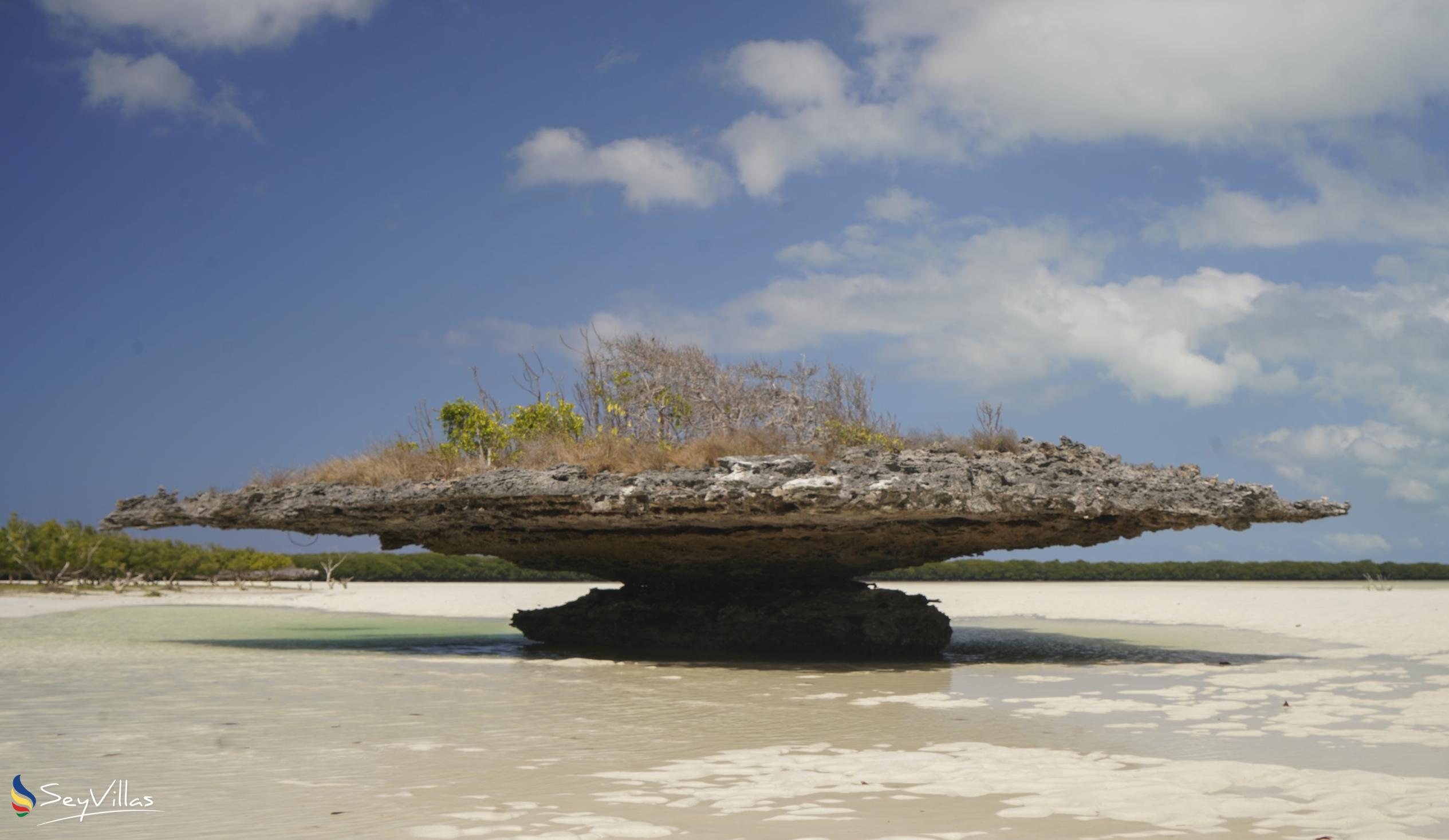 Foto 46: Silhouette Bird Watching Expedition - Extérieur - Seychelles (Seychelles)