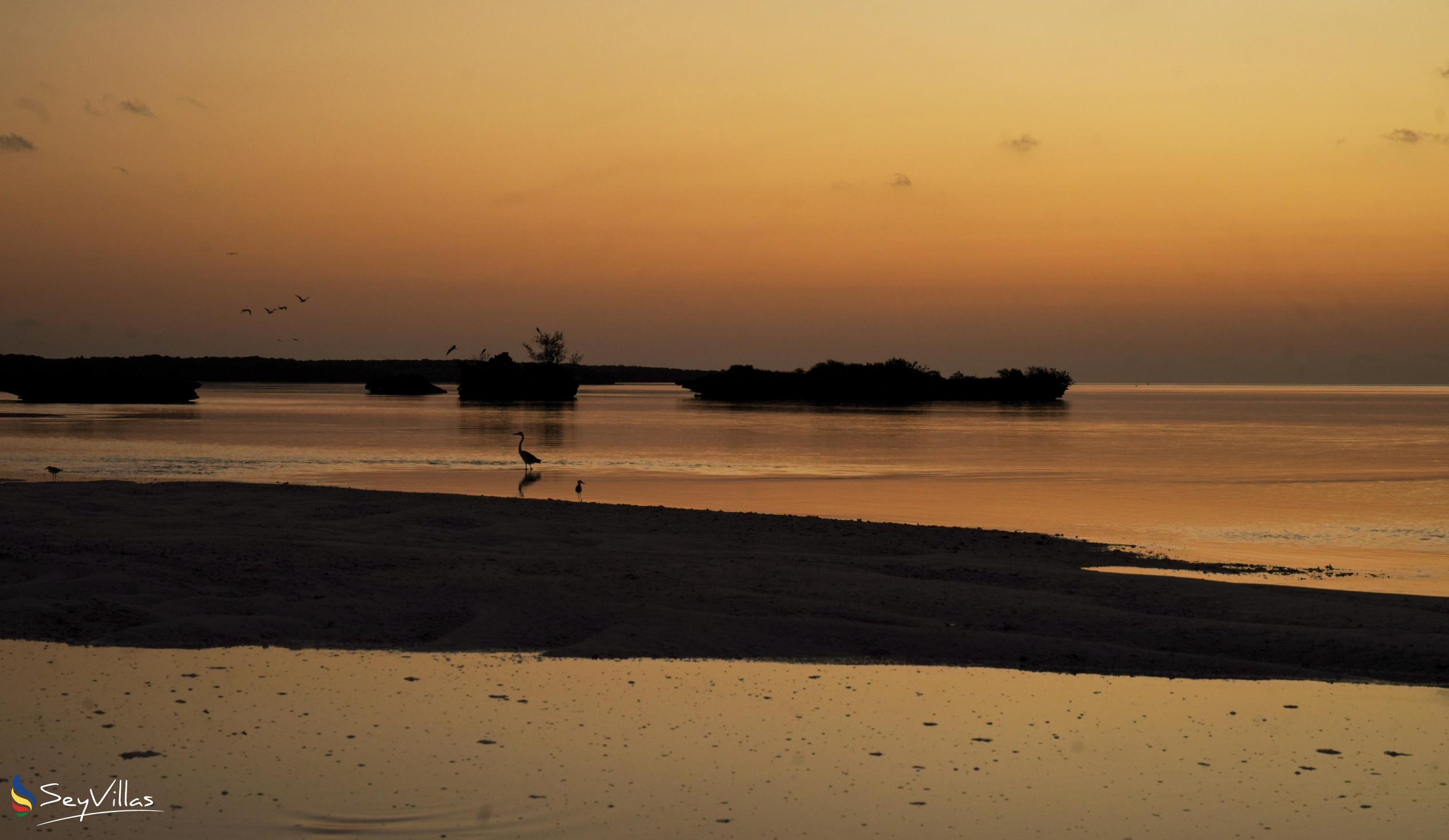 Foto 49: Silhouette Bird Watching Expedition - Aussenbereich - Seychellen (Seychellen)