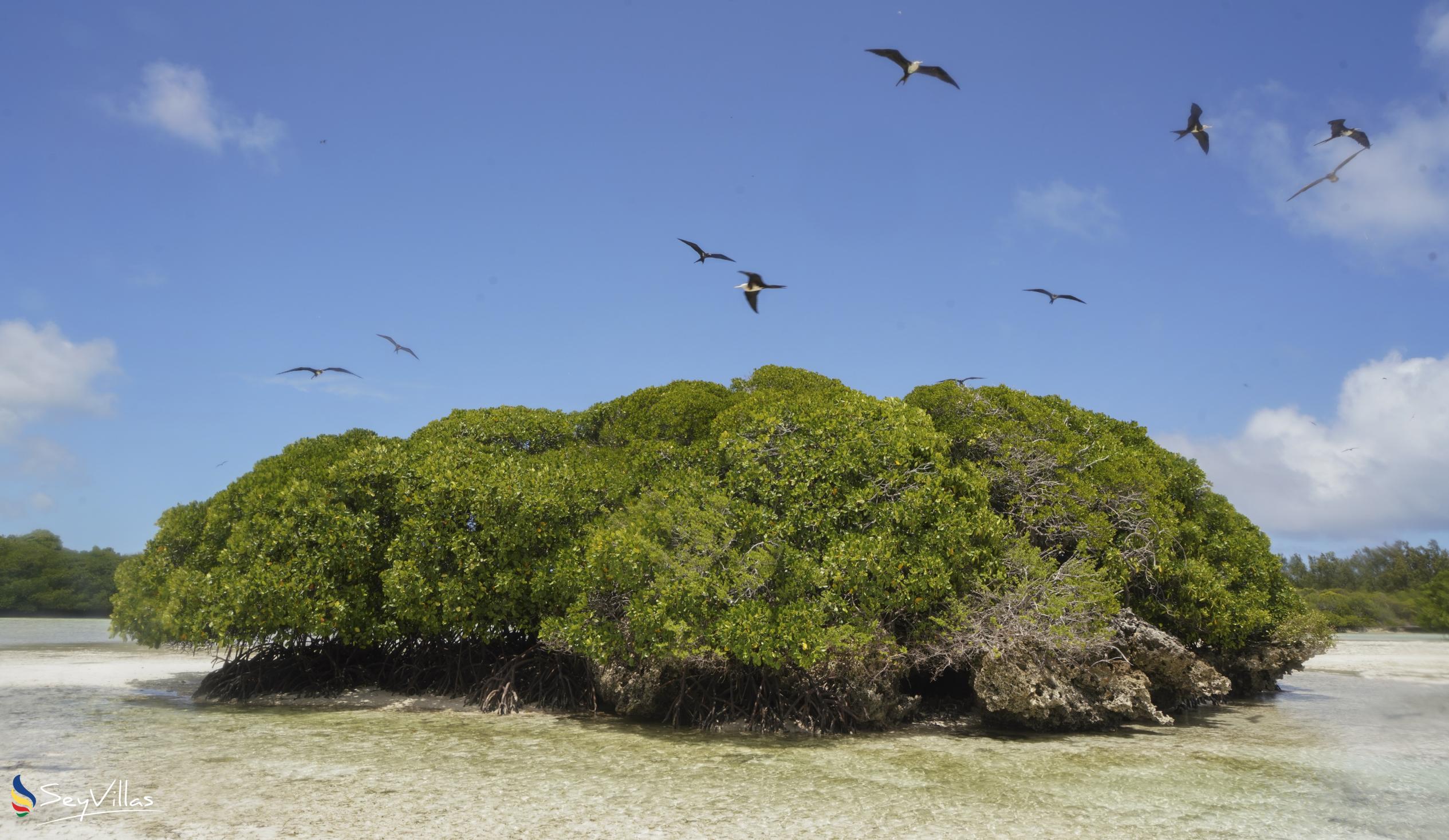 Foto 40: Silhouette Bird Watching Expedition - Esterno - Seychelles (Seychelles)