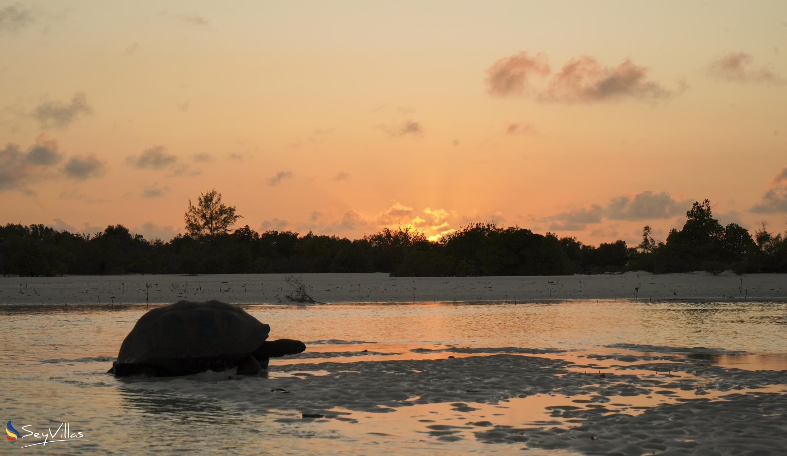 Foto 48: Silhouette Bird Watching Expedition - Aussenbereich - Seychellen (Seychellen)