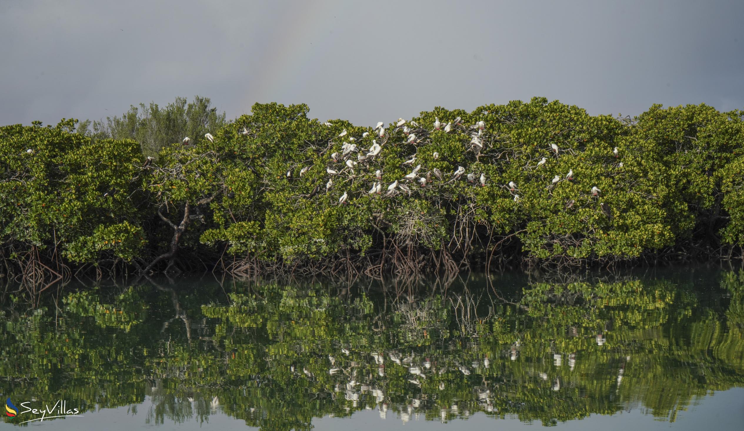 Foto 41: Silhouette Bird Watching Expedition - Aussenbereich - Seychellen (Seychellen)