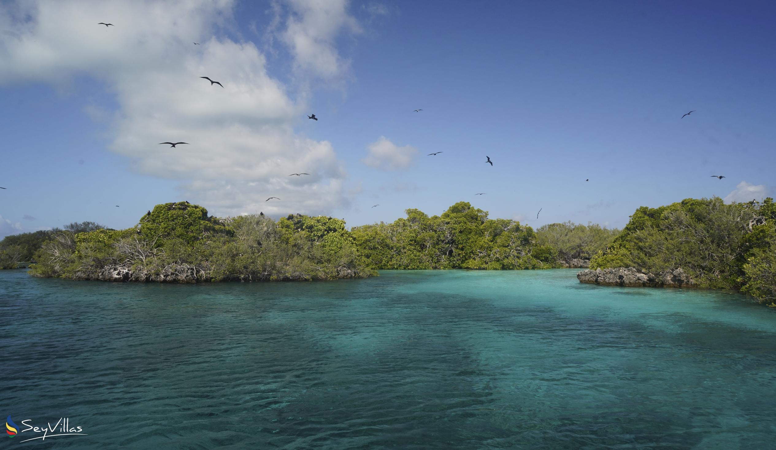 Foto 34: Silhouette Bird Watching Expedition - Aussenbereich - Seychellen (Seychellen)