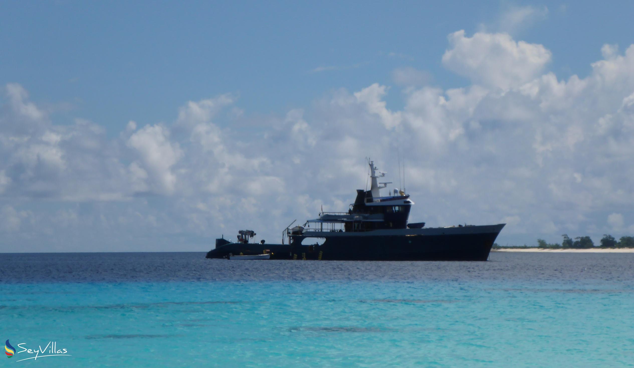 Foto 52: Silhouette Bird Watching Expedition - Extérieur - Seychelles (Seychelles)