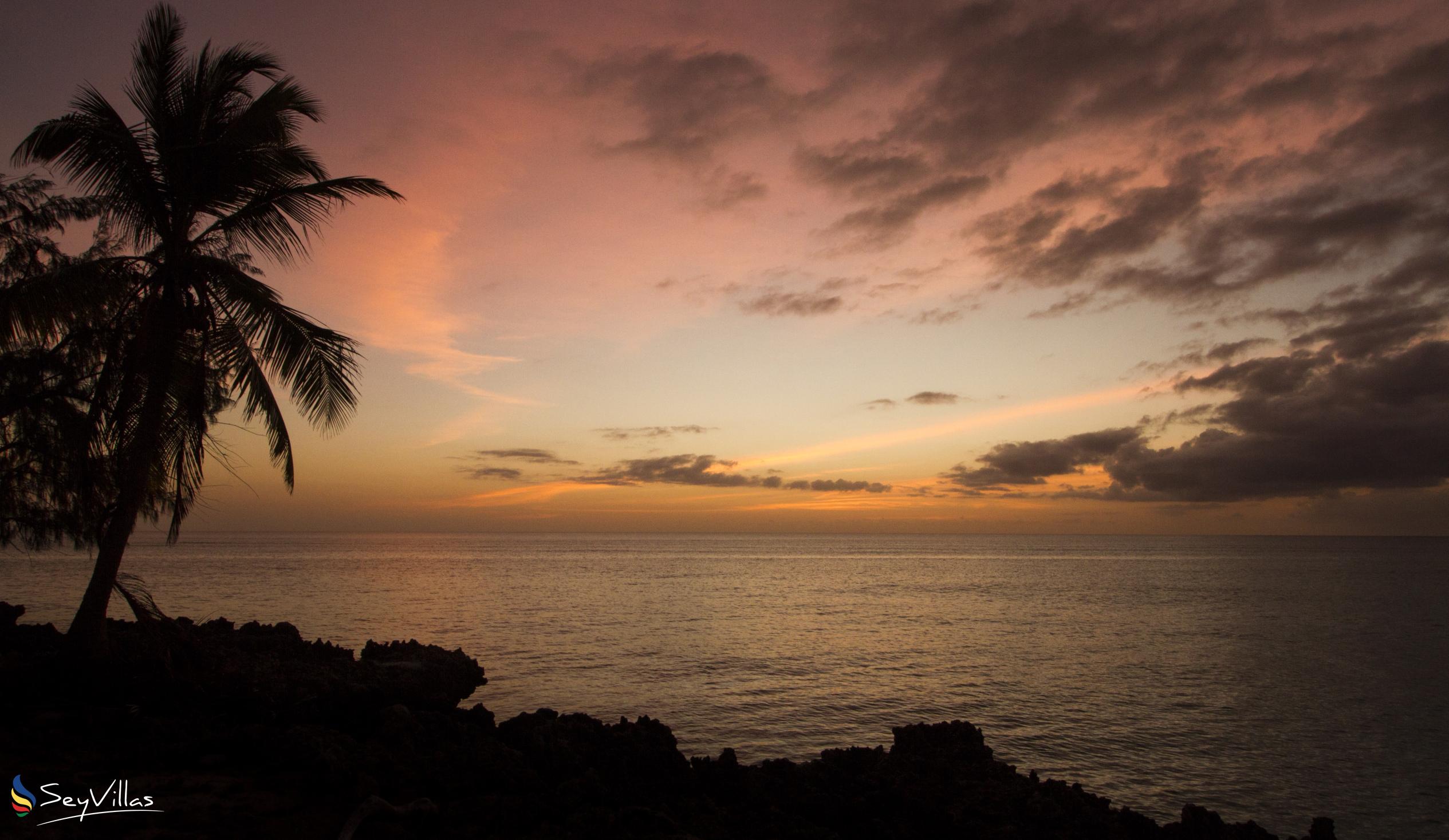 Foto 51: Silhouette Bird Watching Expedition - Aussenbereich - Seychellen (Seychellen)