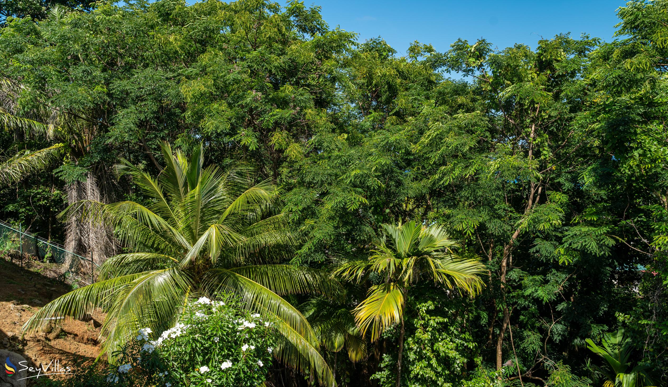 Photo 25: Villa Jasmin - Outdoor area - Mahé (Seychelles)