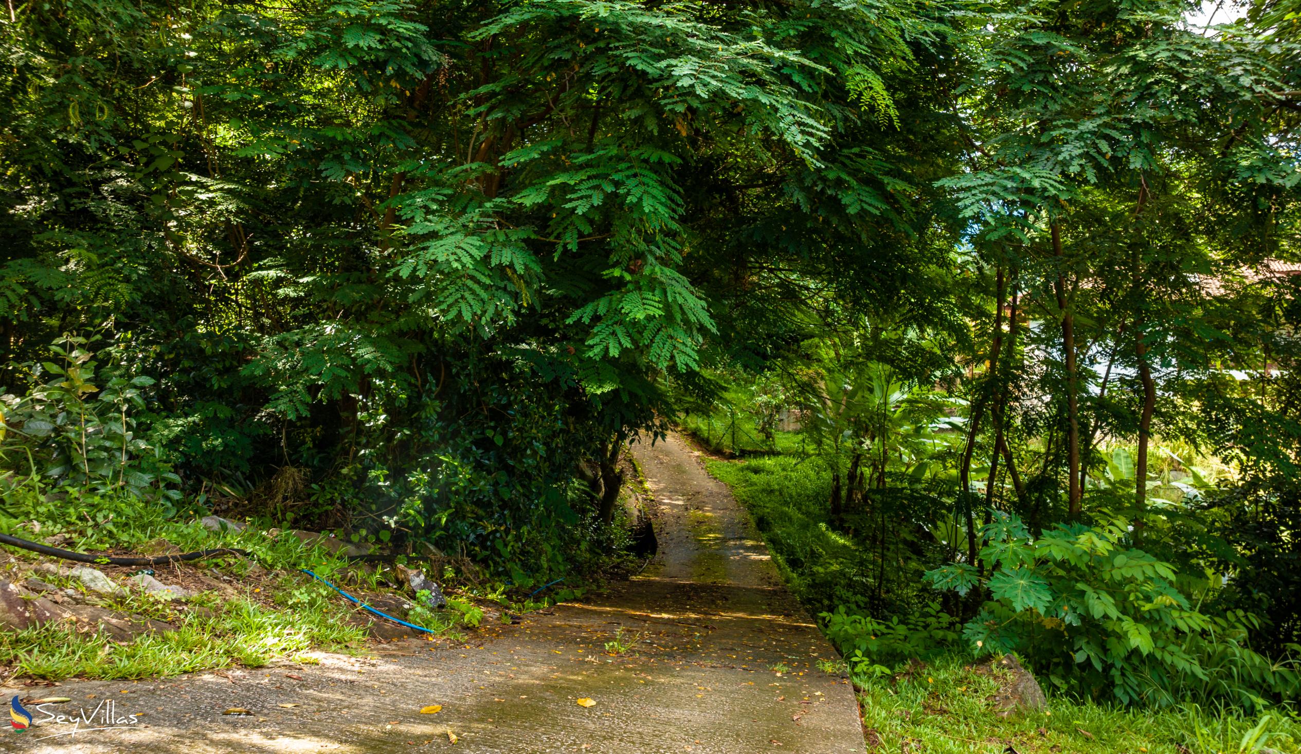 Foto 21: Brown Sugar Lodge - Location - Mahé (Seychelles)