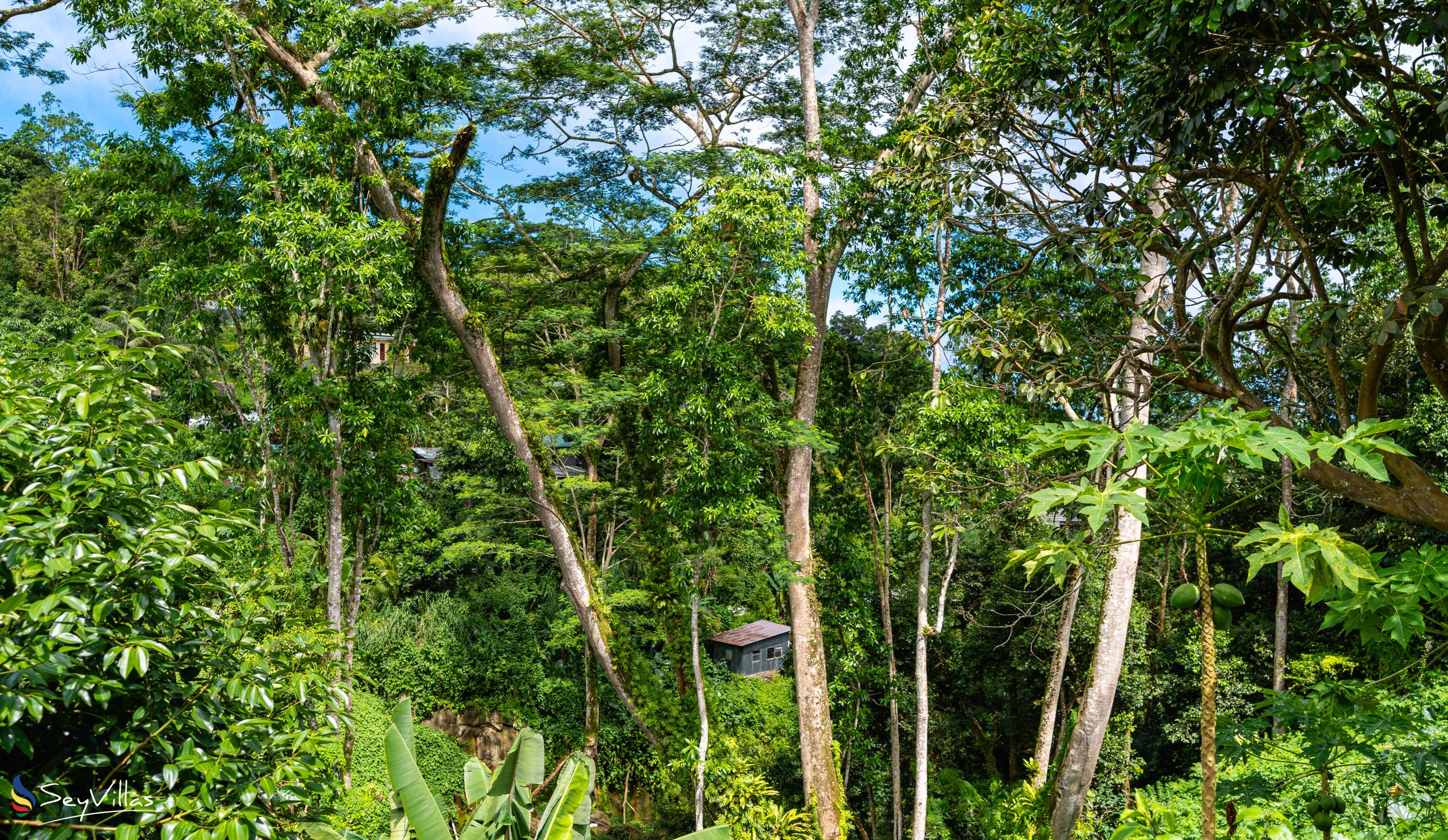 Photo 12: Paradise Breeze Apartments - Location - Mahé (Seychelles)