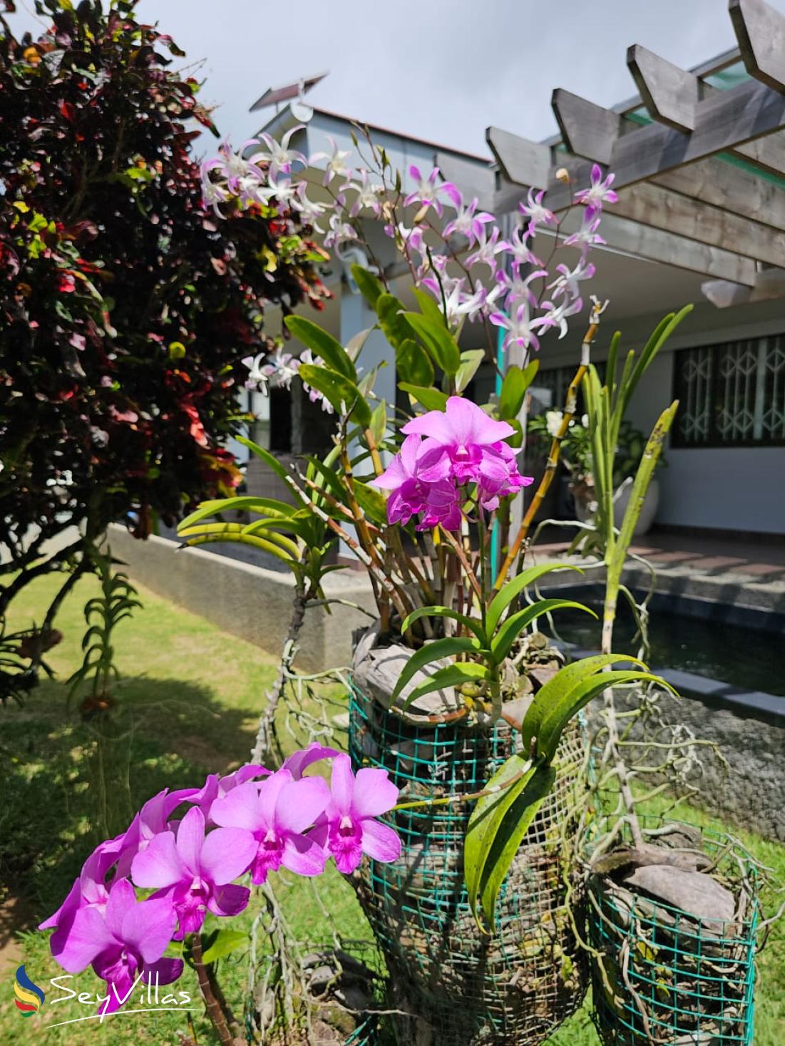 Foto 10: Villa Elodia by Le Duc Hotel & Villas - Aussenbereich - Mahé (Seychellen)