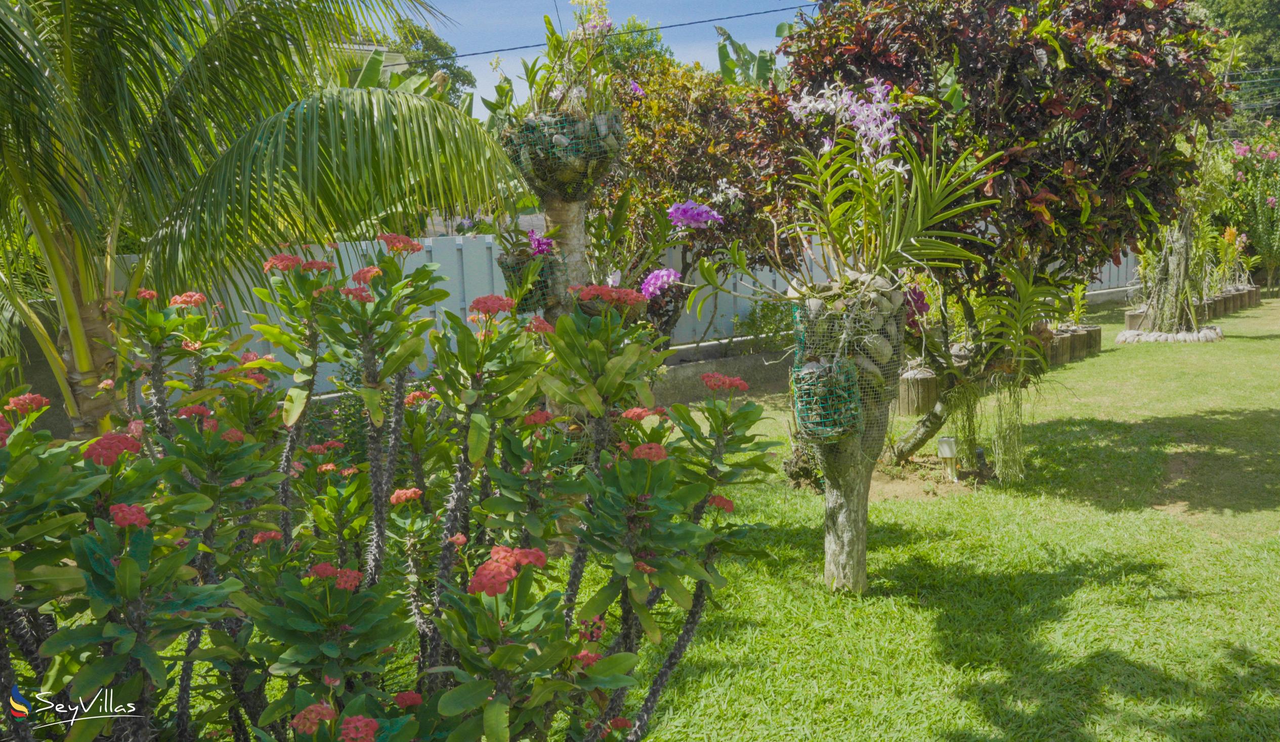 Photo 12: Villa Elodia by Le Duc Hotel & Villas - Outdoor area - Mahé (Seychelles)