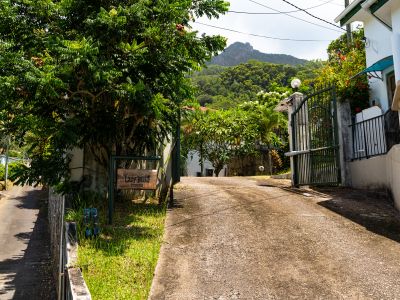 Lazy Hill Bungalows