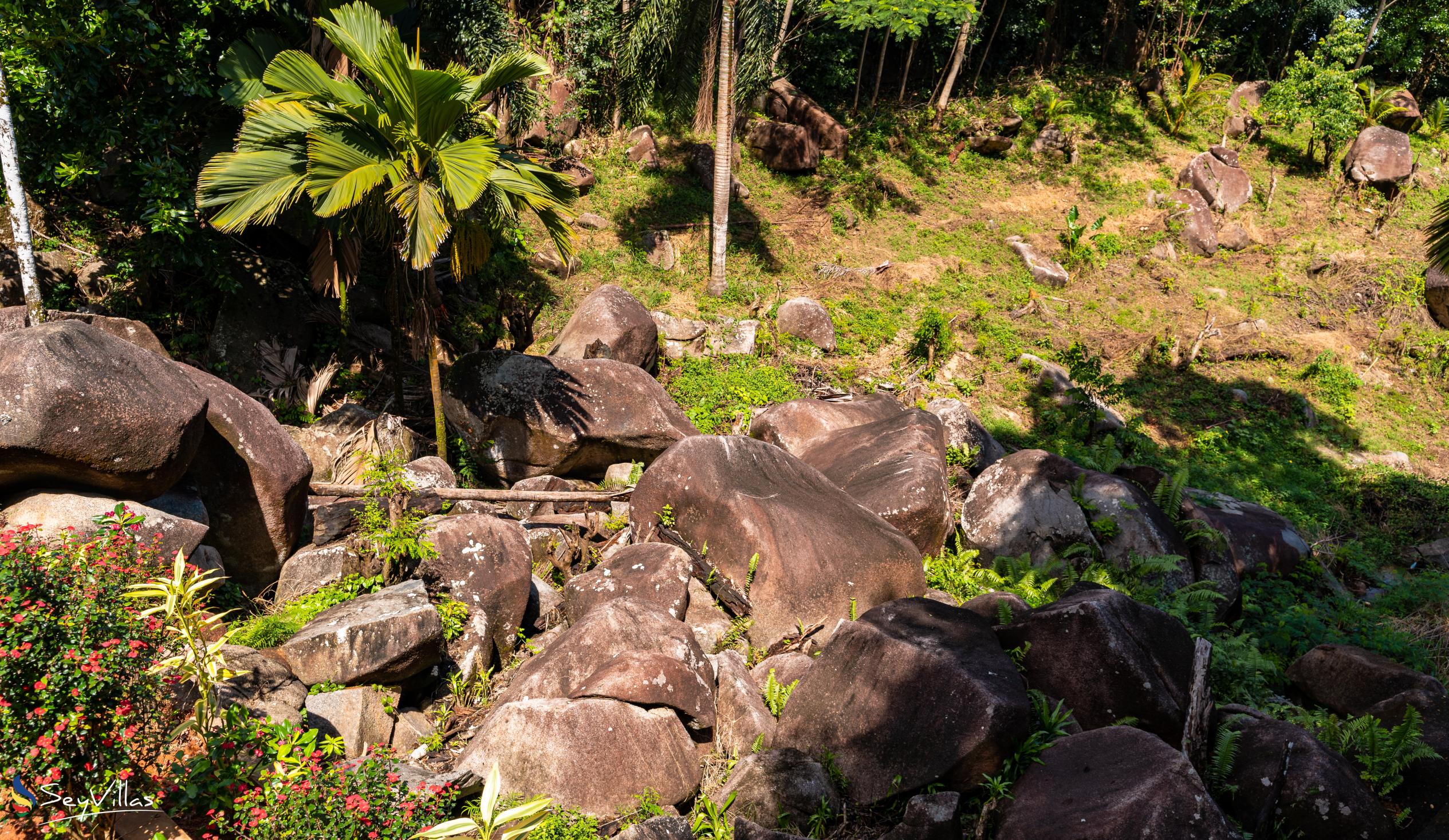 Photo 19: Riverside Retreat (Seychelles) - Outdoor area - Mahé (Seychelles)