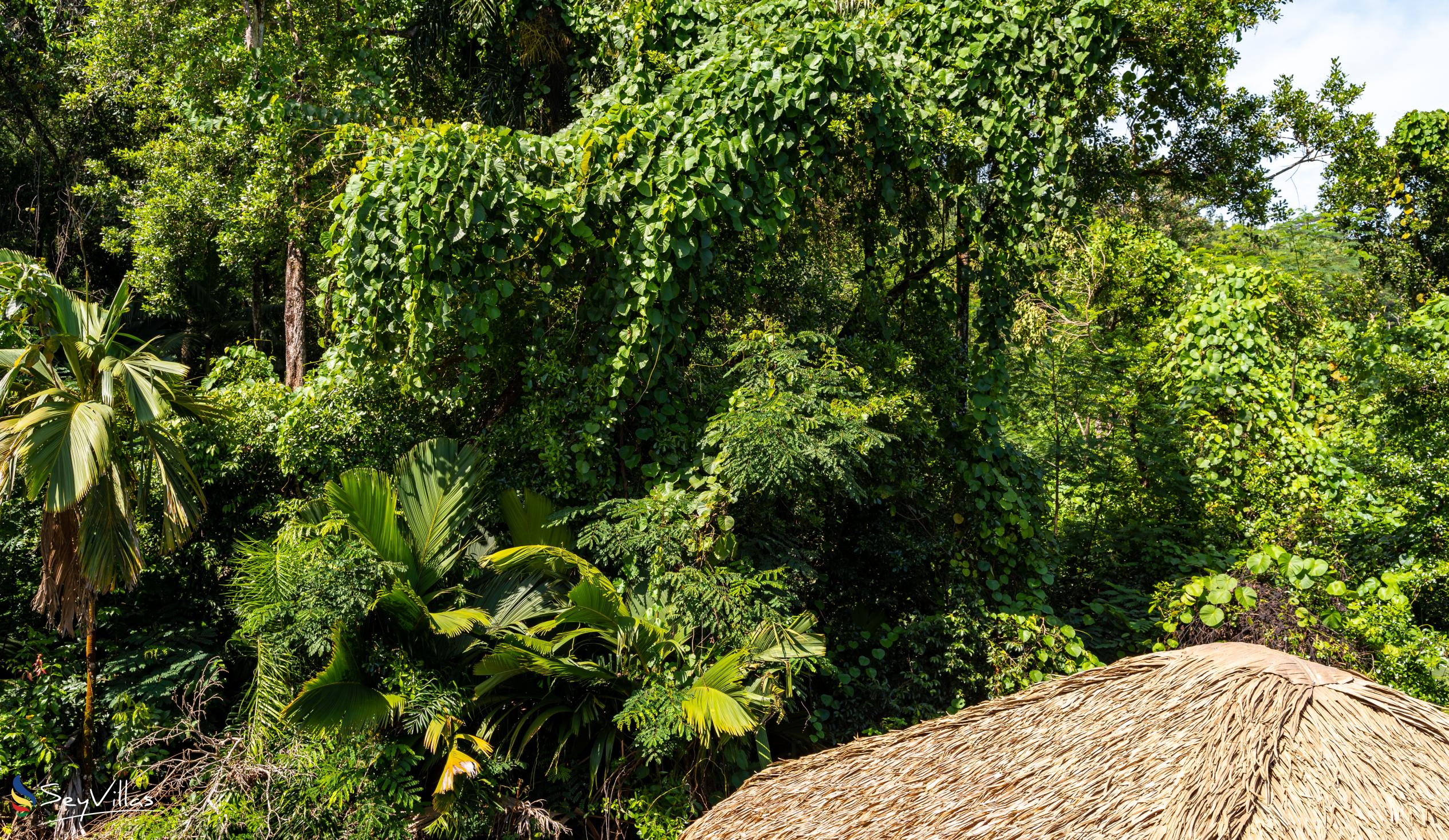 Foto 33: Riverside Retreat (Seychelles) - Location - Mahé (Seychelles)