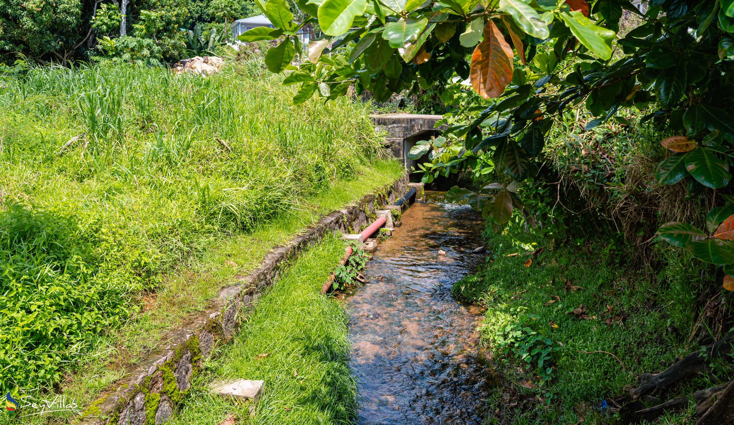 Foto 26: Thalassa Seychelles - Location - Mahé (Seychelles)