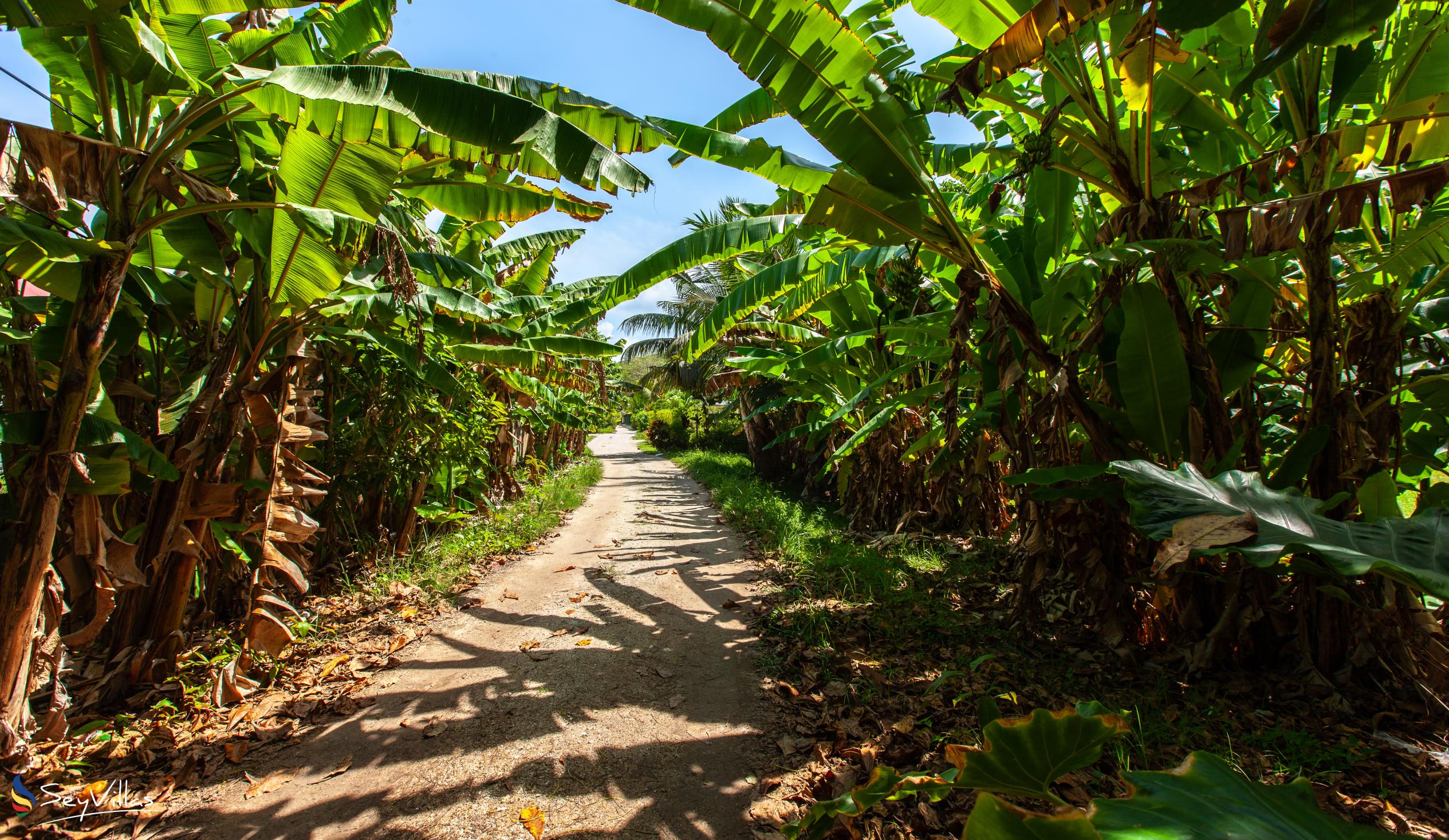 Foto 8: Fern Lodge Self Catering - Posizione - La Digue (Seychelles)