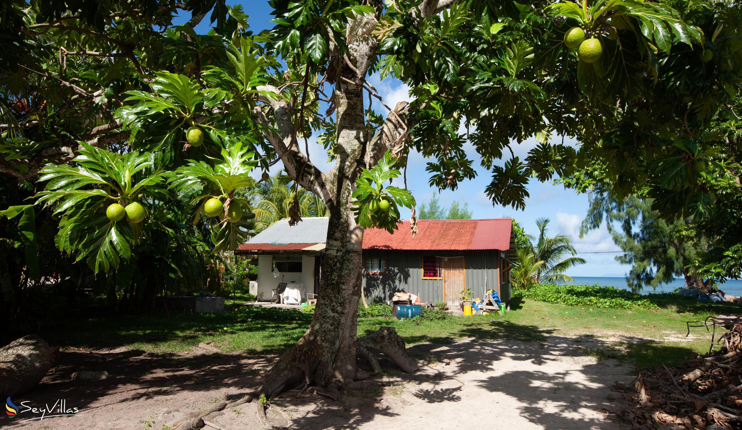 Foto 41: Island Charm of Praslin - Posizione - Praslin (Seychelles)