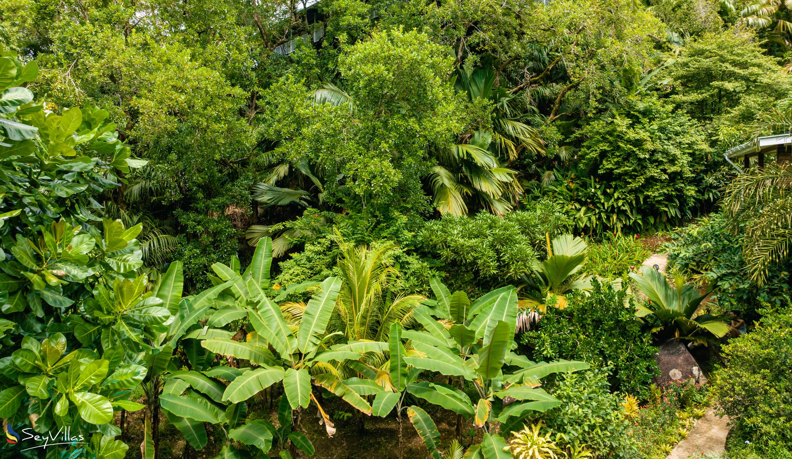 Photo 11: Cashew Nut Grove Chalets - Outdoor area - Mahé (Seychelles)