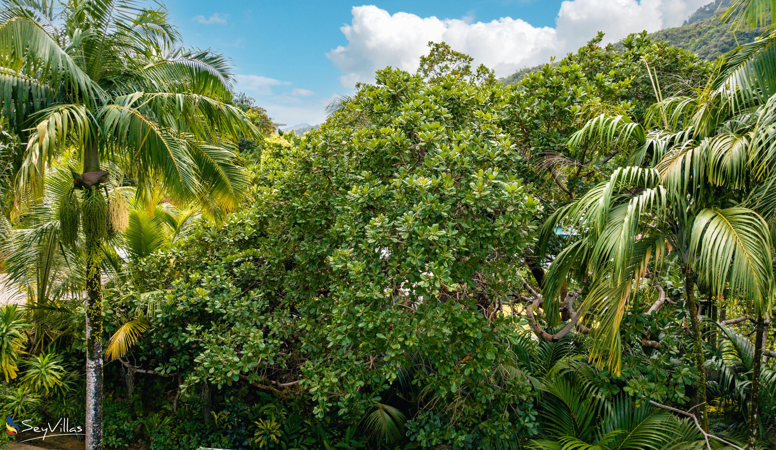 Photo 12: Cashew Nut Grove Chalets - Outdoor area - Mahé (Seychelles)