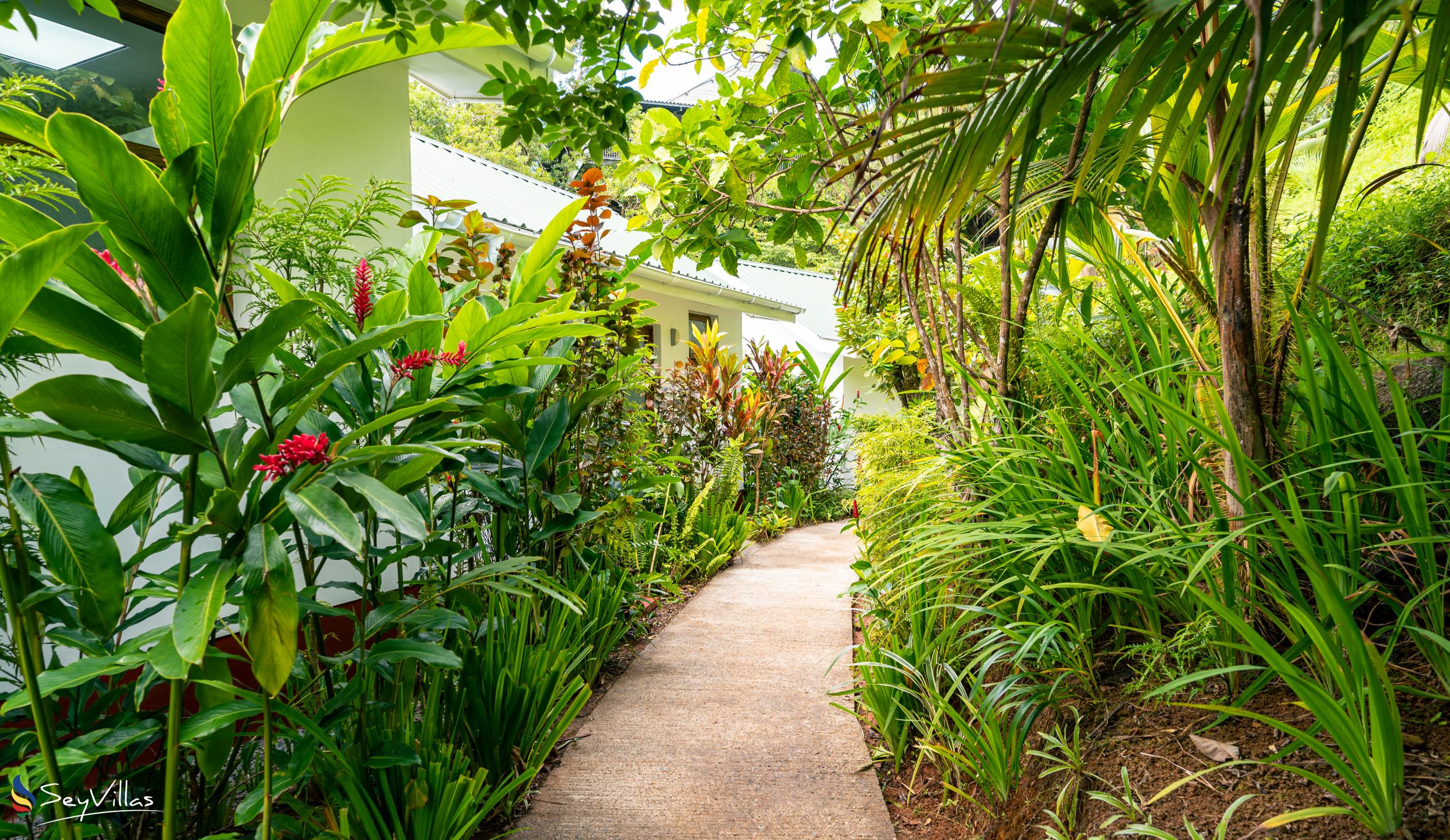 Photo 14: Cashew Nut Grove Chalets - Outdoor area - Mahé (Seychelles)