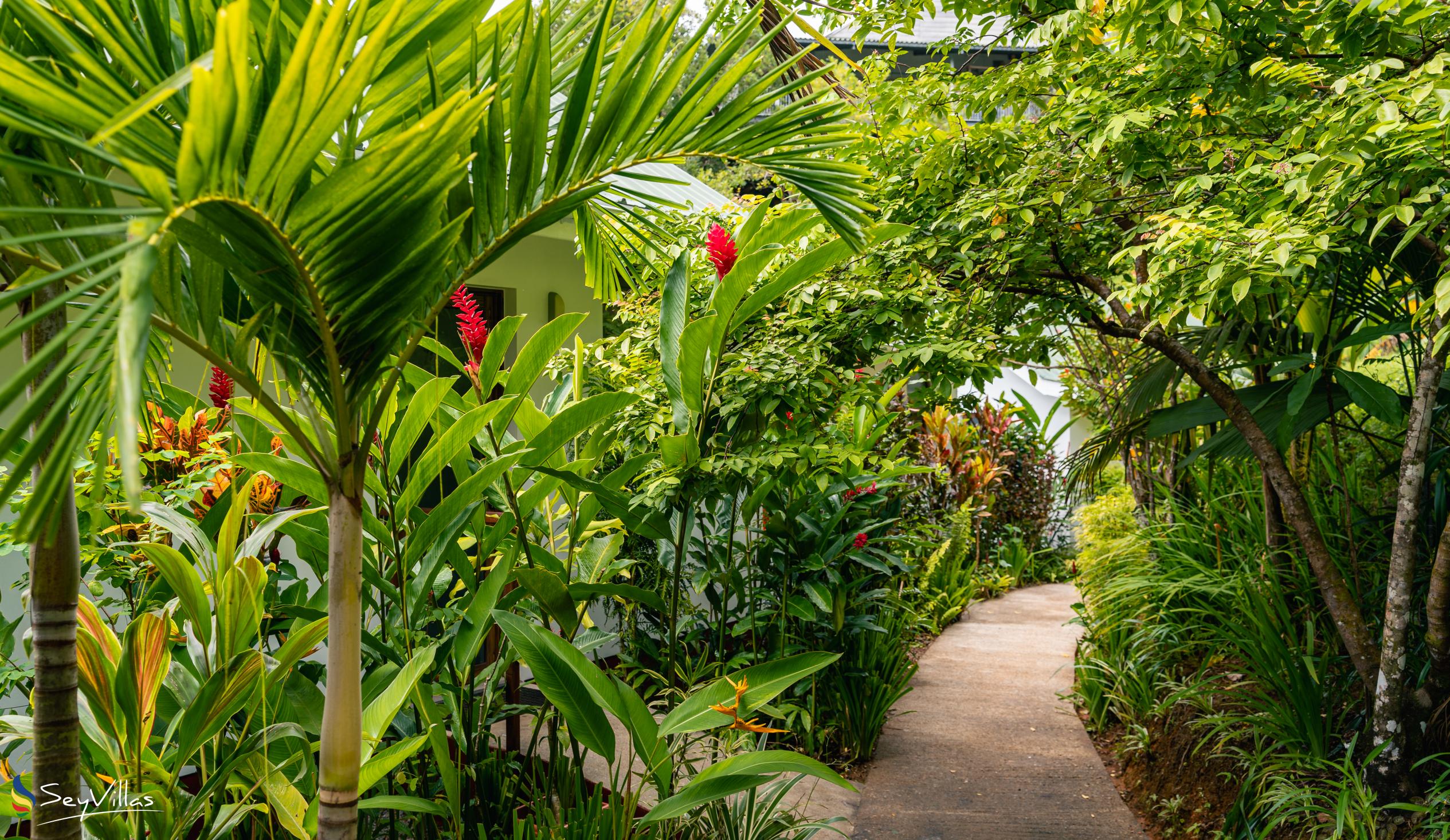 Photo 15: Cashew Nut Grove Chalets - Outdoor area - Mahé (Seychelles)