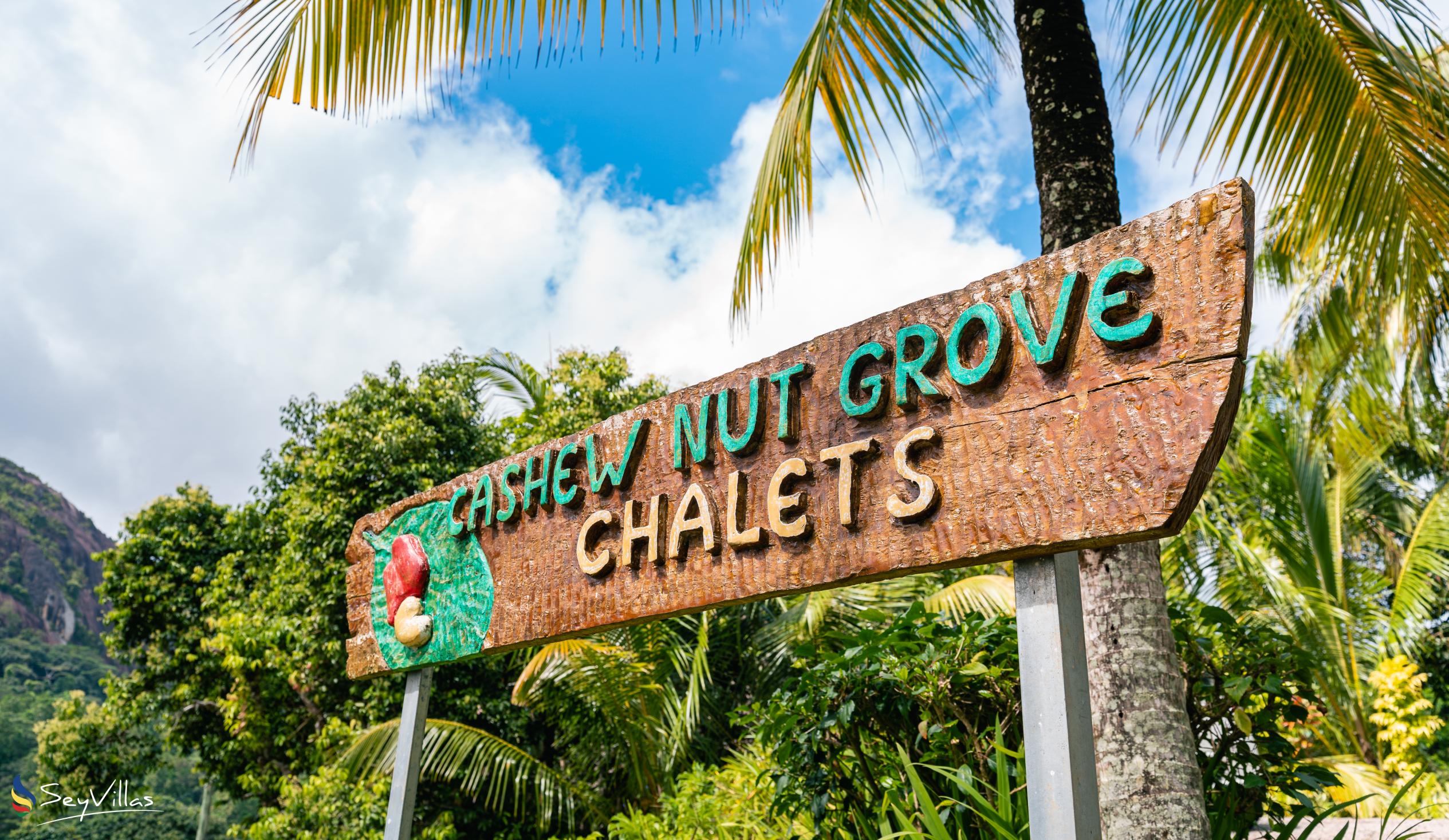 Photo 17: Cashew Nut Grove Chalets - Outdoor area - Mahé (Seychelles)